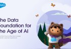 See how you can build a data strategy for the age of AI.