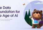See how you can build a data strategy for the age of AI.