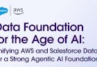 Discover how to unify trusted data for a strong AI Foundation.