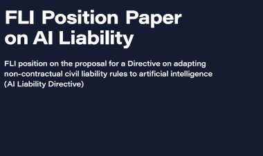 FLI Position Paper on AI Liability