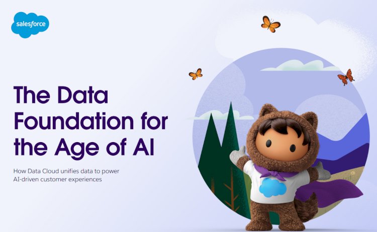 See how you can build a data strategy for the age of AI.