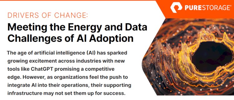 Meeting the Energy and Data Challenges of AI Adoption